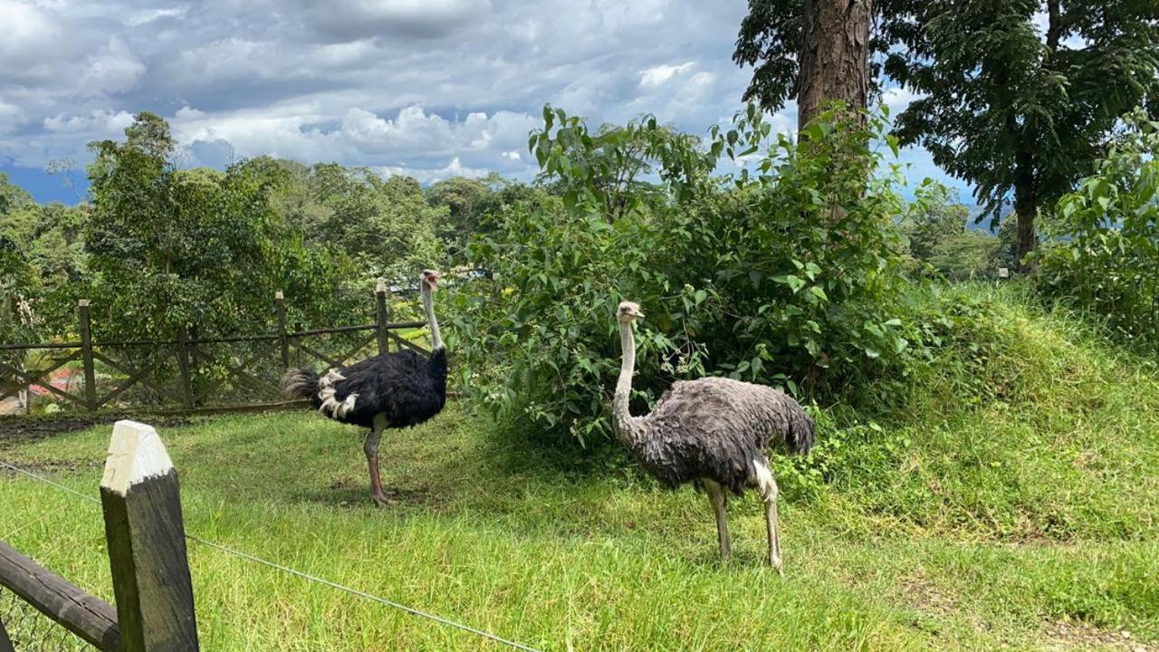 Готель Rancho Ecoturistico El Faro Ла-Меса Екстер'єр фото