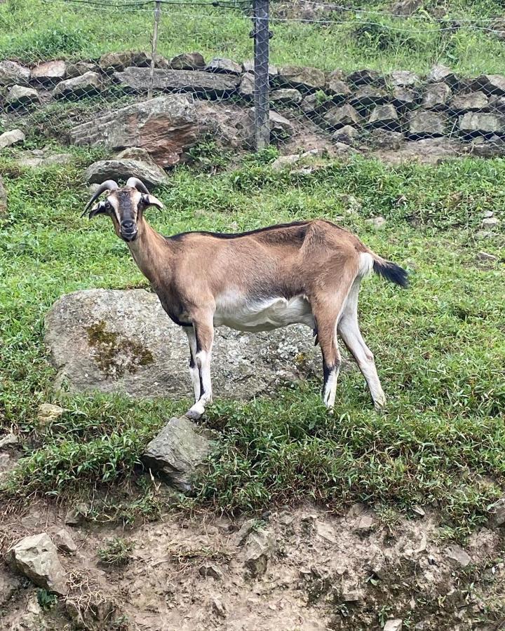 Готель Rancho Ecoturistico El Faro Ла-Меса Екстер'єр фото